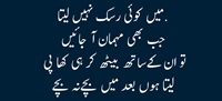 May risk nahi leta Mehmanon say sath kha pee leta hoon